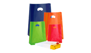 d0e8b910-bfd4-11f0-b022-55d3fc18bb37-Immagine_Di_Categoria_ShopperPC.png